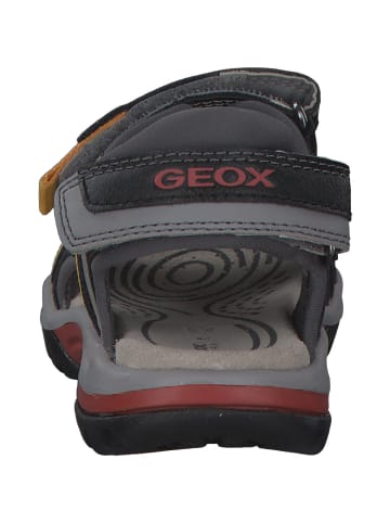 Geox Sandalen in Grau