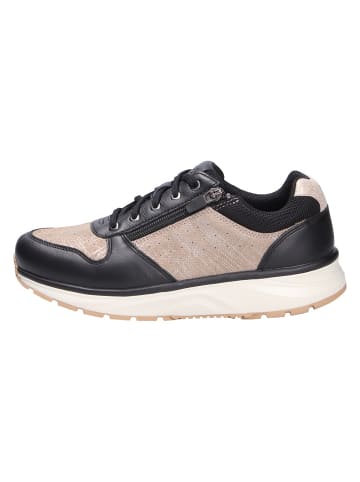 Joya Schnürschuh DYNAMO ZIP W BRONZE/BLACK in schwarz