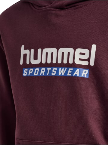 Hummel Kapuzenpullover Hmljr Logo Lebensstil Kinder in VINEYARD WINE