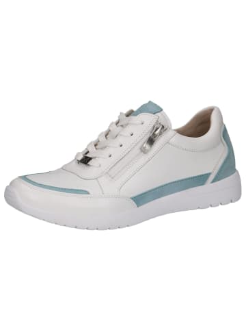 Caprice Sneaker in WHITE/LT.BLUE