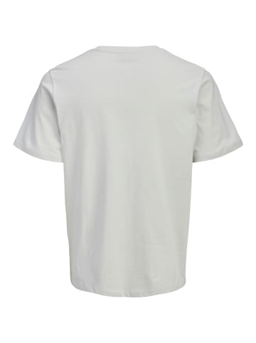 Jack & Jones T-Shirt JJIndiana in hellgrau