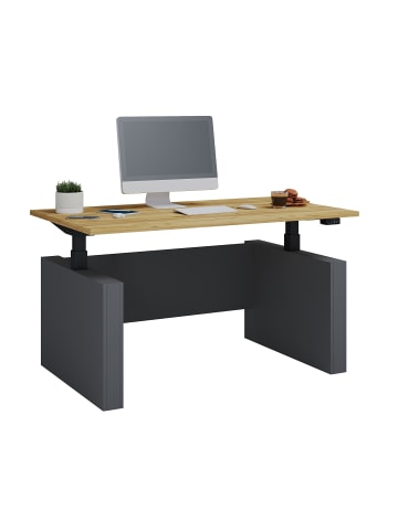 VCM  Schreibtisch höhenverstellbar Salia 140x80 in Anthrazit / Honig-Eiche