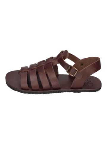 KOEL Sandalen ATHENA in braun