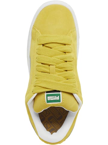 Puma Puma Suede XL Jr (GS) in fresh pear/puma white
