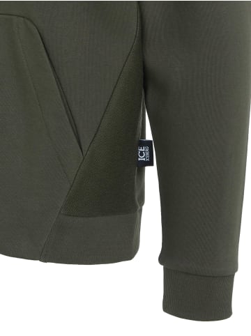 Iceberg Kapuzenpullover für Herren in grün