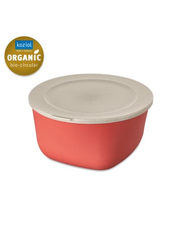 koziol CONNECT BOX 4 * - Box mit Deckel 4l in nature coral