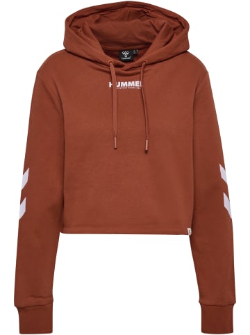 Hummel Hummel Hoodie Hmllegacy Damen in ARABIAN SPICE