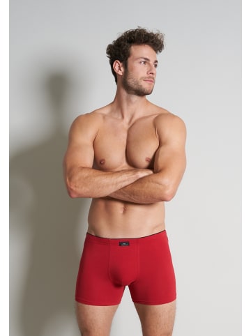 Götzburg Long-Pants 2Er Pack X-Lastic in rot-dunkel-uni