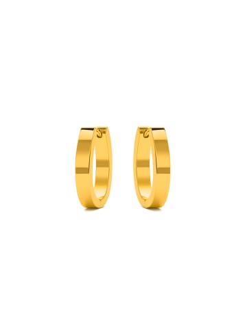 Luxenter Ohrringe Firax mit 18 Karat Gelbgold-Finish – FIRAX