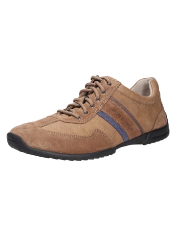 Pius Gabor Sneaker in beige