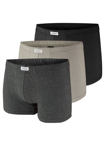 CECEBA Pants 3er Pack in Anthrazit / Grau / Melange