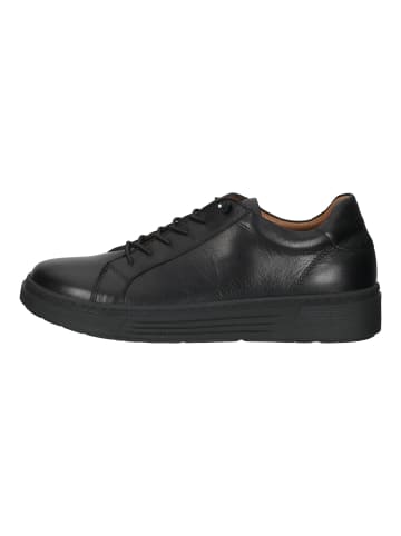 Hush Puppies Sneaker in Schwarz