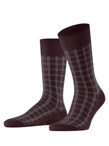 Falke Socken Modern Tailor Herren in Barolo