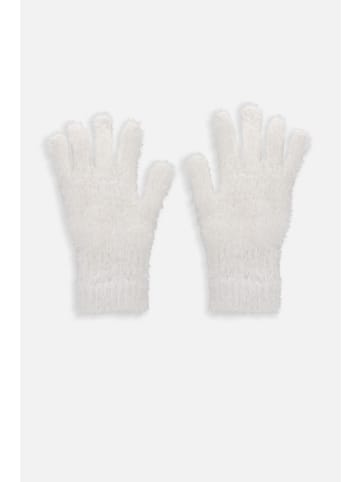 Coccodrillo Handschuhe in ecru