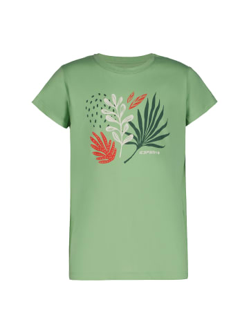Icepeak T-Shirt in Grün