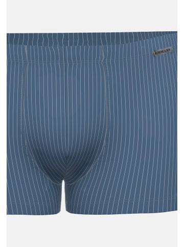 Ammann Retro Short / Pant Smart & Stripes in Dunkelblau