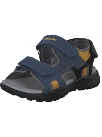 Geox Sandalen in AVIO/DK YELLOW