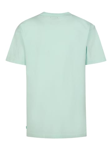 Petrol Industries T-Shirt mit Rückenprint Viento in Grün