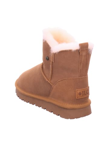ILC Winterboots in Braun