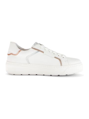 Gabor Sneaker Puder
