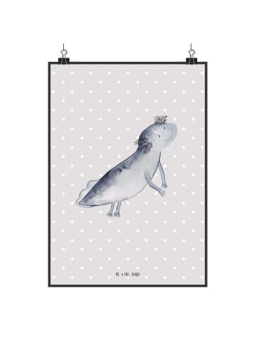 Mr. & Mrs. Panda Poster Axolotl Schwimmen ohne Spruch in Grau Pastell
