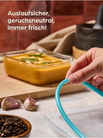 Praknu Glasbehälter mit Deckel - 4er Set Frischhaltedosen - 500 ml -