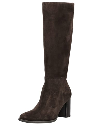 Paul Green Stiefel in Mocca