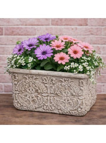 AltoBelli Blumentopf PERUGIA Beige Grau Zement Rechteckig 18x11 cm