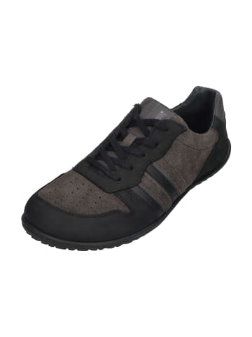 KOEL Sneaker Low IVO NAPPA in grau