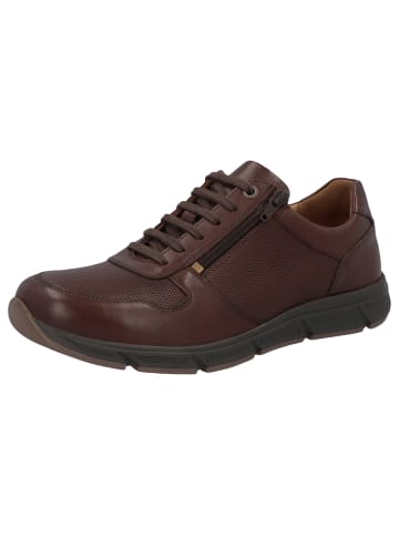 Solidus Schnürschuhe Kai RAKE schoko in Braun