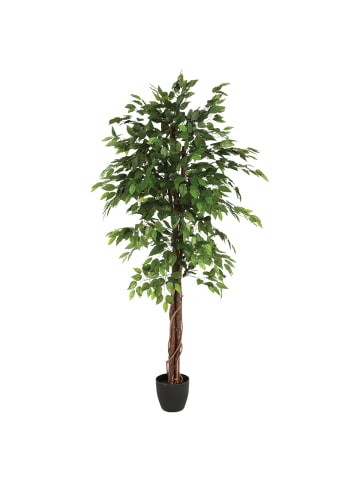 Atmosphera Créateur d'intérieur Künstlicher Ficus in grün