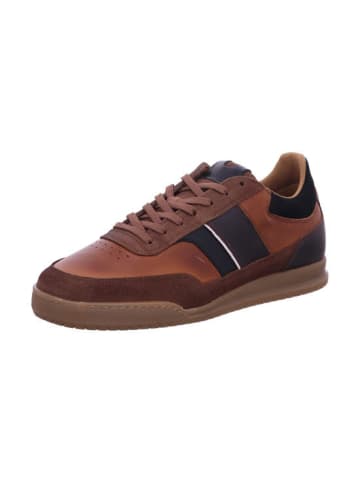 Bullboxer Schnürschuhe  in Braun