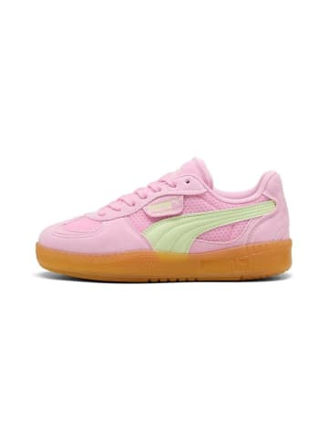 Puma Sneaker "Palermo Moda Vintage Wns" in Pink