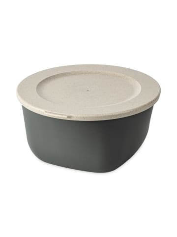 koziol CONNECT BOX 2 - Box mit Deckel 2l in nature ash grey