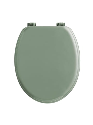 Douceur d’Intérieur WC-Sitz in grün