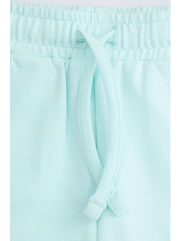 Coccodrillo Kurze Hosen in in Minzfarbe