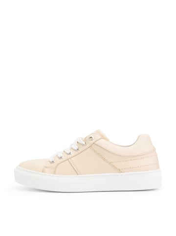 NoGRZ K.Cantley in Beige