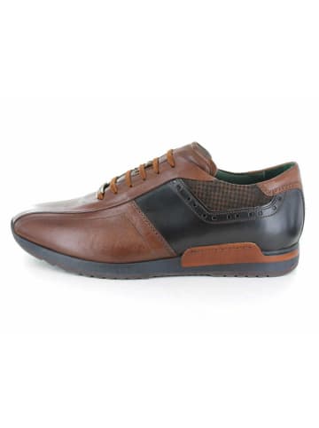 Galizio Torresi Schnürschuhe in braun