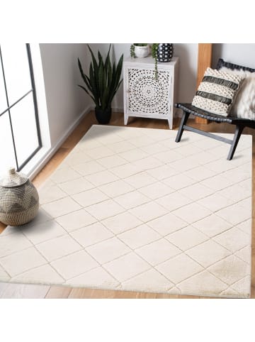 payé Teppich Hochflor Moment