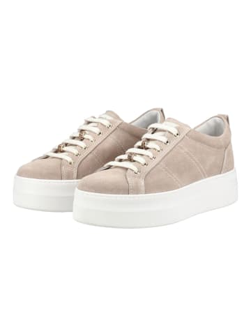 Nero Giardini Sneaker in Beige