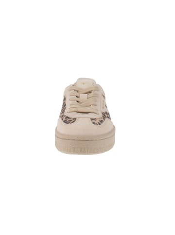 Tamaris Sneaker low 1-23723-44 in Beige