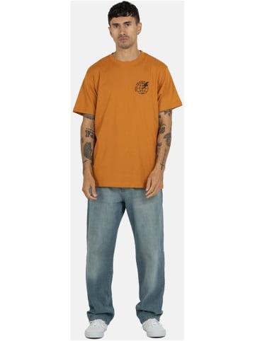 Reell T-Shirt "Meadow Logo T-Shirt" in Orange