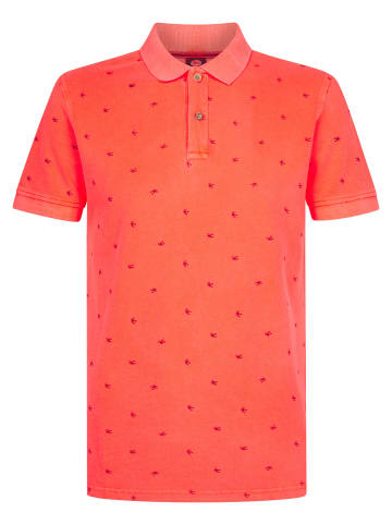 Petrol Industries Piqué-Poloshirt OlaVerde in Rosa
