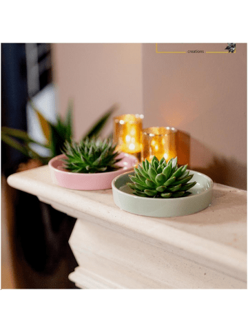 NatureNest Echeveria Pulidonis kompakte Sukkulente in rosa Keramikschale