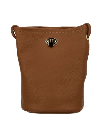 Usha Women Bucket Bag in Camel