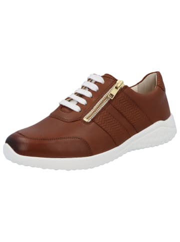Solidus Damen- Schnürschuhe Kyle - Weite K in Braun