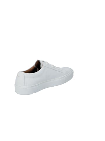 LLOYD Lowtop Sneaker Lloyd ABEL in WHITE