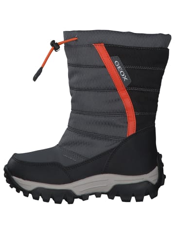 Geox Stiefeletten in GREY/ORANGE