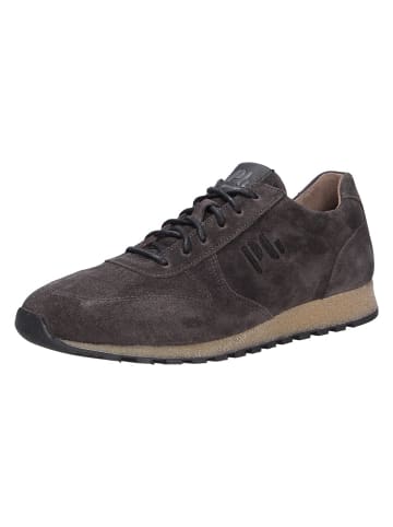 Pius Gabor Sneaker in grau