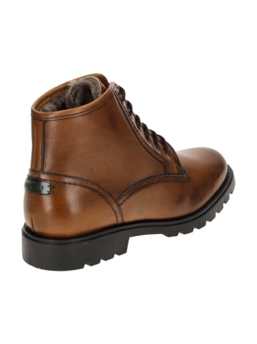 Galizio Torresi Schnürstiefeletten in Braun